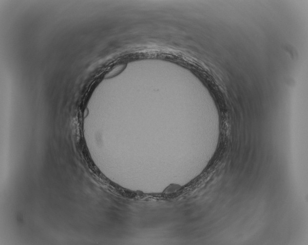 X0000111121493200907281018