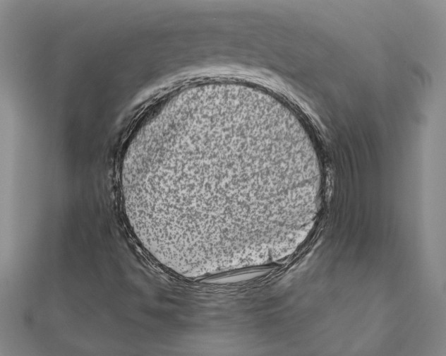 X0000111121494200907281018