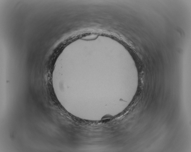 X0000111121495200907281018