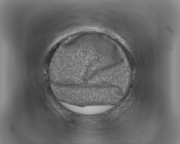 X0000111121496200907281018