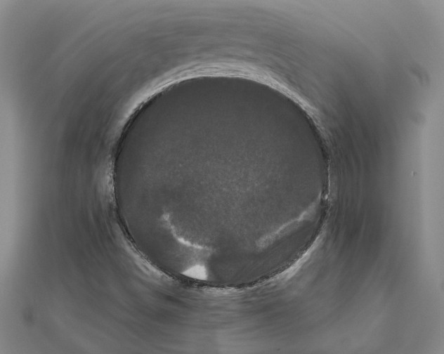 X0000111121498200907281018