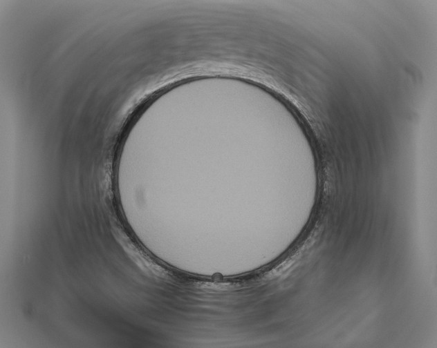 X0000111121499200907281018