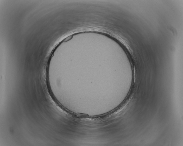X0000111121500200907281018