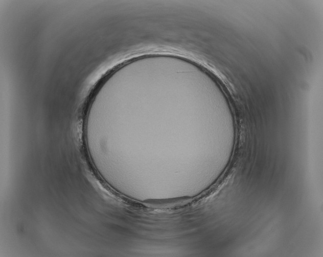 X0000111121503200907281018