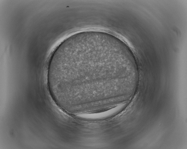 X0000111121504200907281018