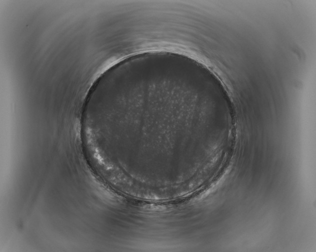X0000111121505200907281018