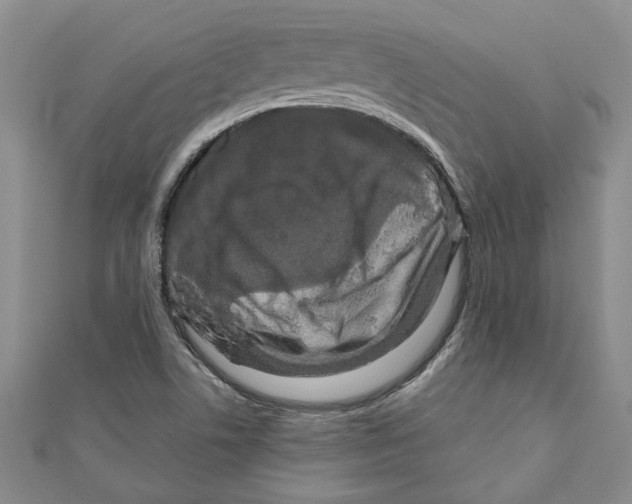 X0000111121506200907281018