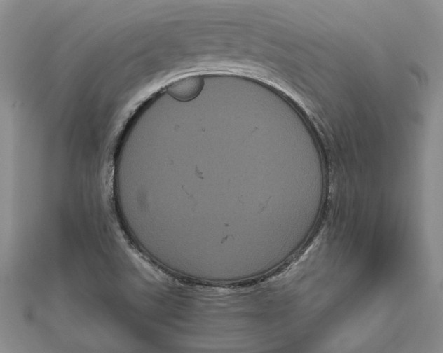 X0000111121507200907281018