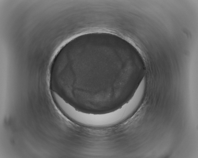 X0000111121508200907281018