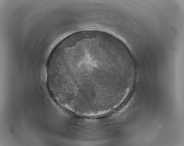 X0000111121509200907281018