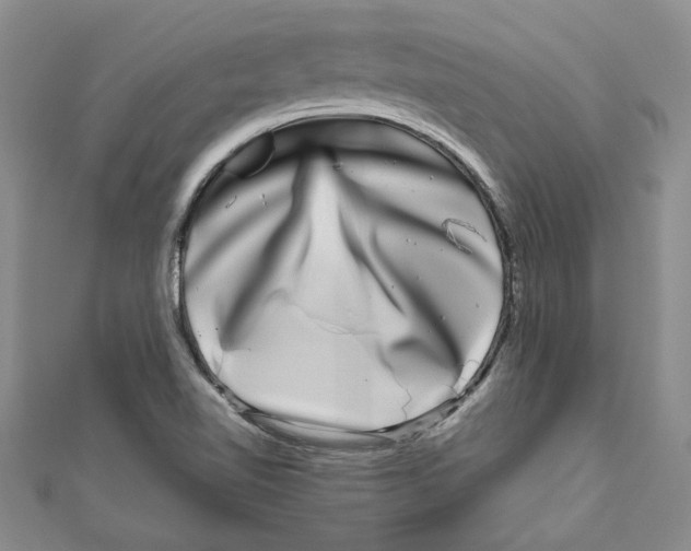 X0000111121510200907281018