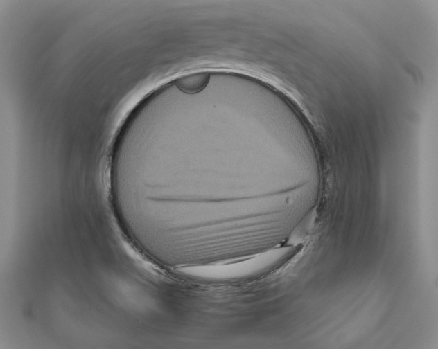 X0000111121511200907281018