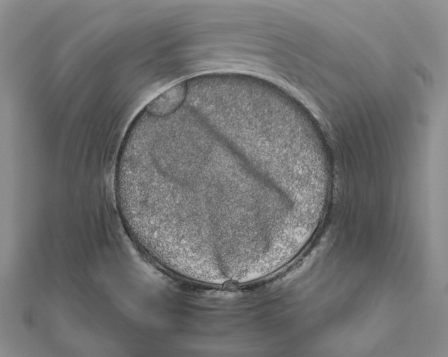 X0000111121513200907281018