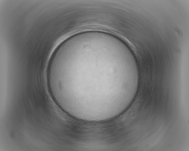 X0000111121514200907281018