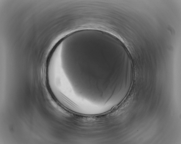 X0000111121515200907281018