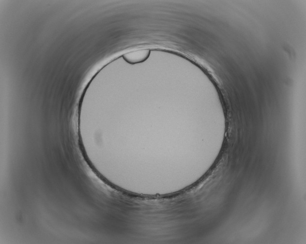 X0000111121516200907281018