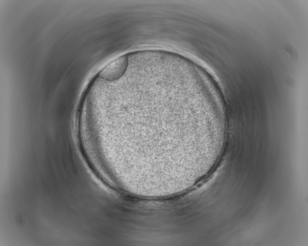 X0000111121517200907281018