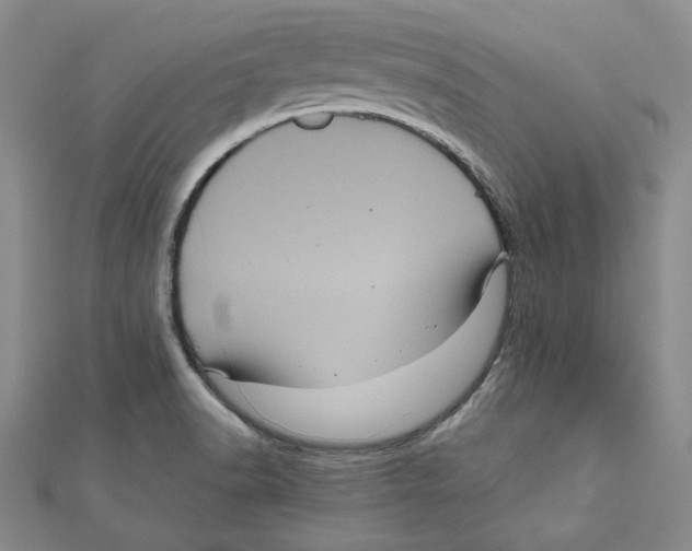 X0000111121518200907281018