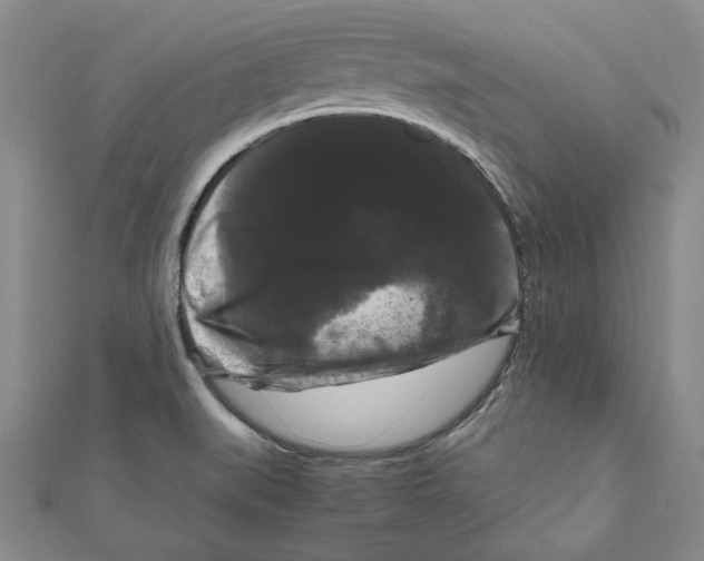 X0000111121519200907281018