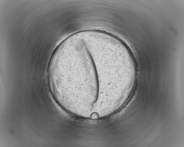 X0000111121521200907281018