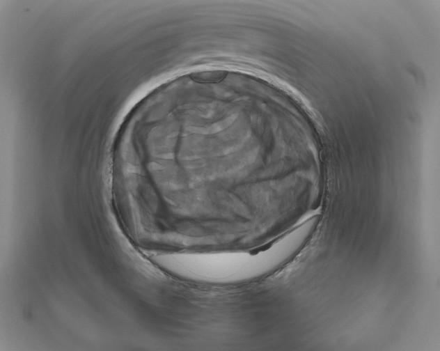 X0000111121522200907281018