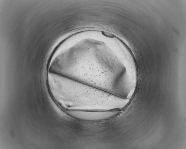 X0000111121523200907281018