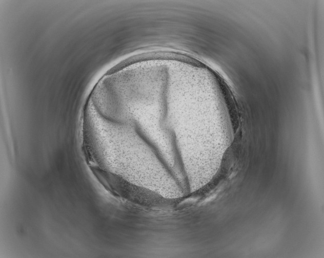 X0000111121524200907281018