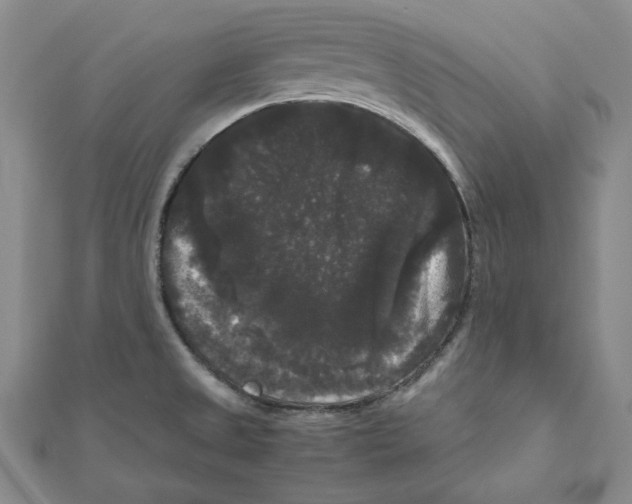 X0000111121525200907281018