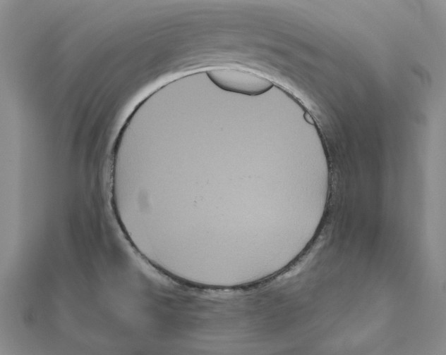 X0000111121526200907281018