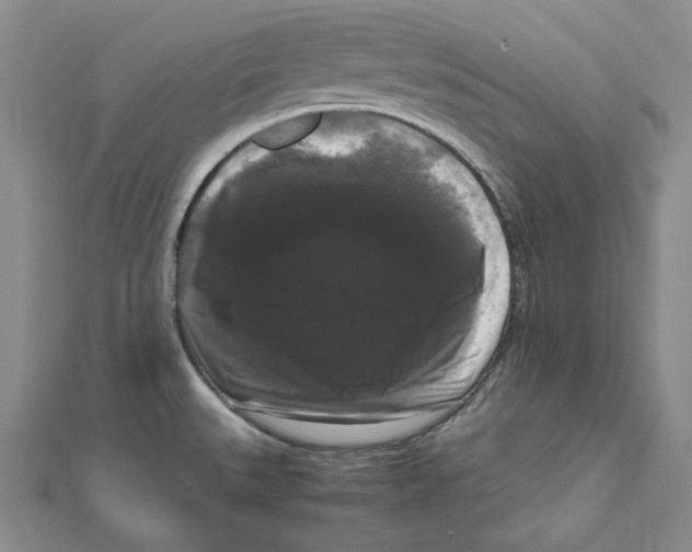 X0000111121527200907281018
