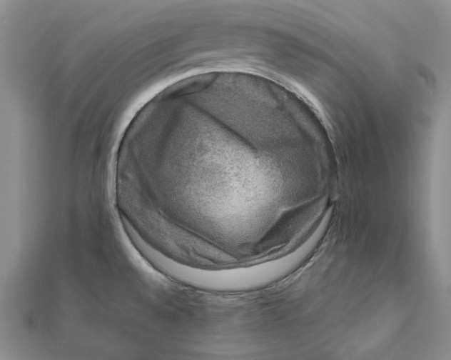 X0000111121528200907281018