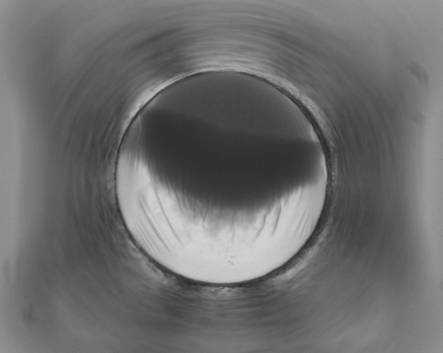 X0000111121529200907281018