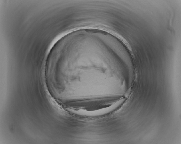 X0000111121530200907281018