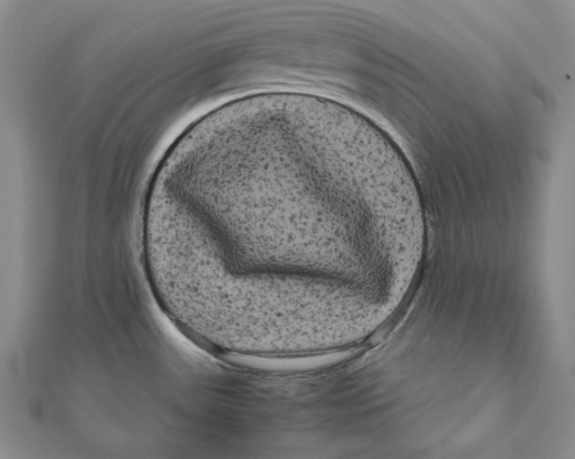 X0000111121531200907281018