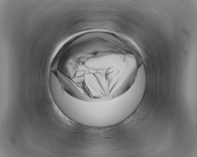 X0000111121532200907281018