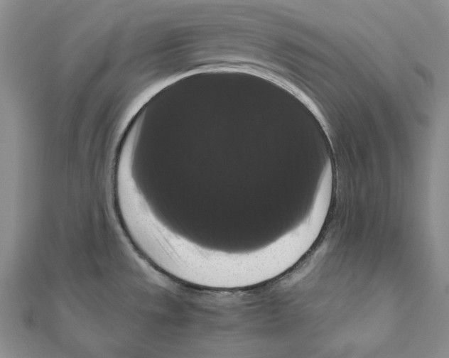 X0000111121533200907281018