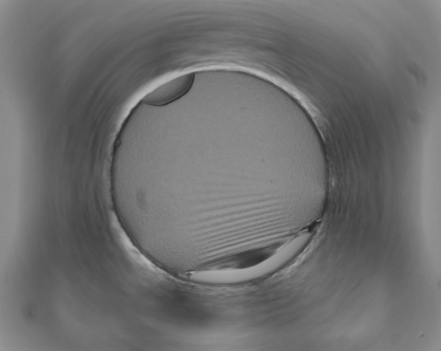 X0000111121534200907281018