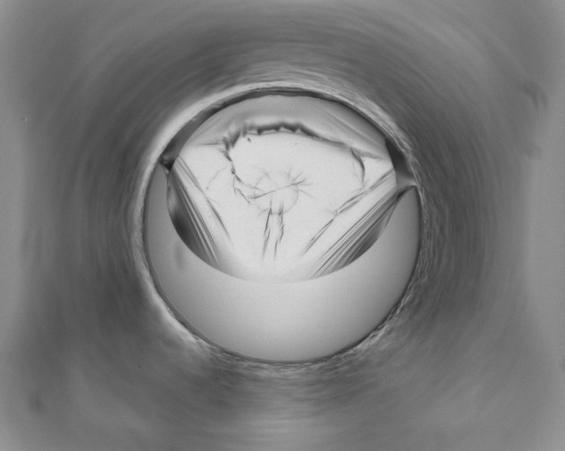 X0000111121536200907281019