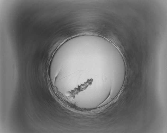 X0000111120001200908111028