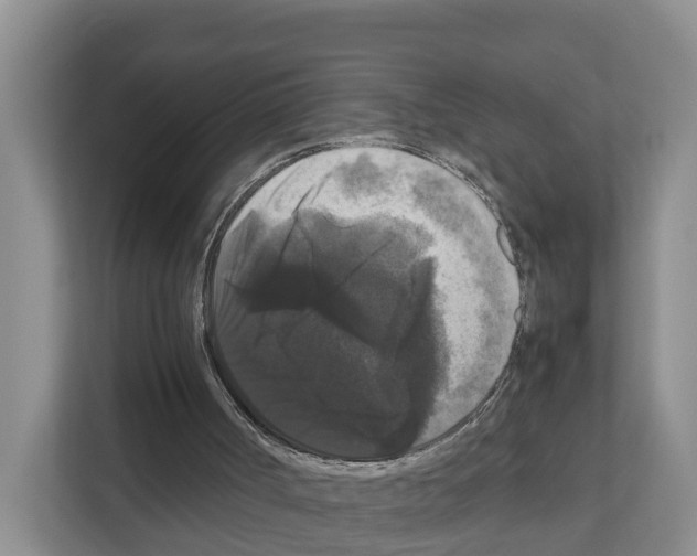 X0000111120002200908111028