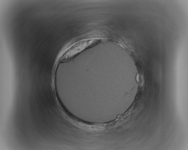 X0000111120004200908111028