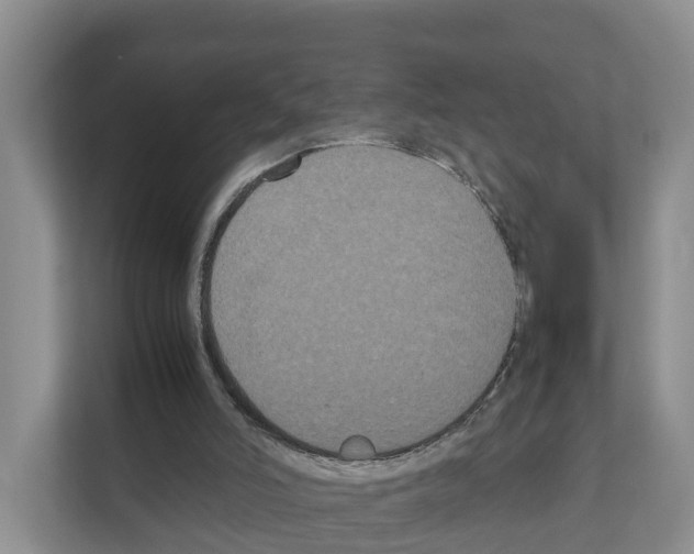 X0000111120006200908111028