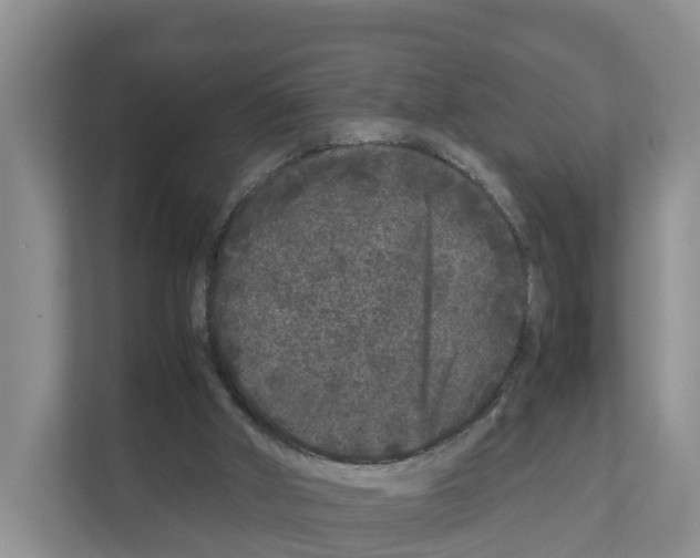 X0000111120010200908111028