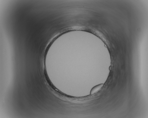 X0000111120011200908111028