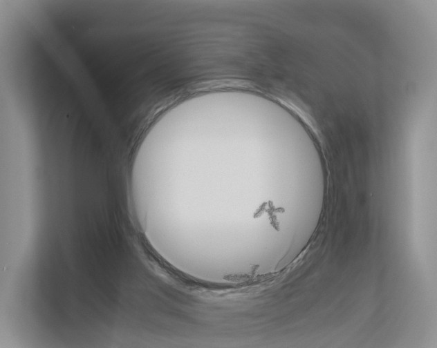 X0000111120013200908111028
