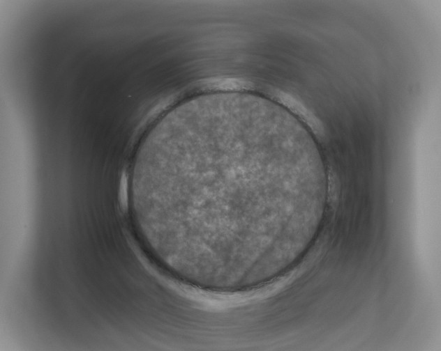 X0000111120014200908111028