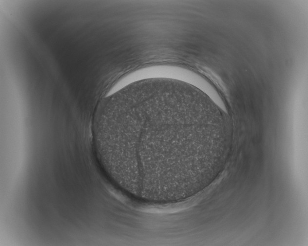 X0000111120017200908111028