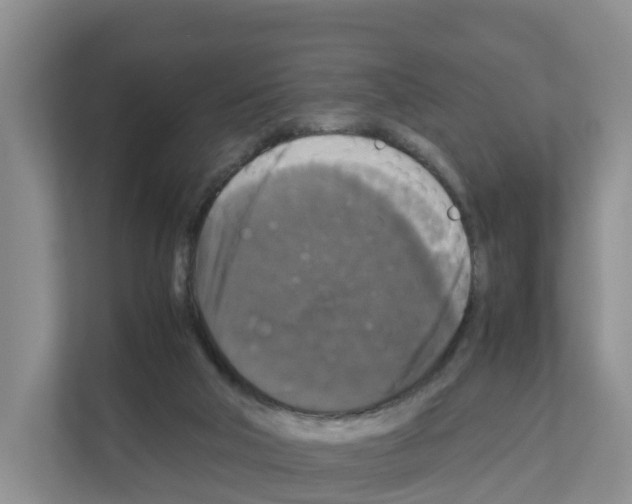 X0000111120018200908111028