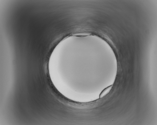 X0000111120019200908111028