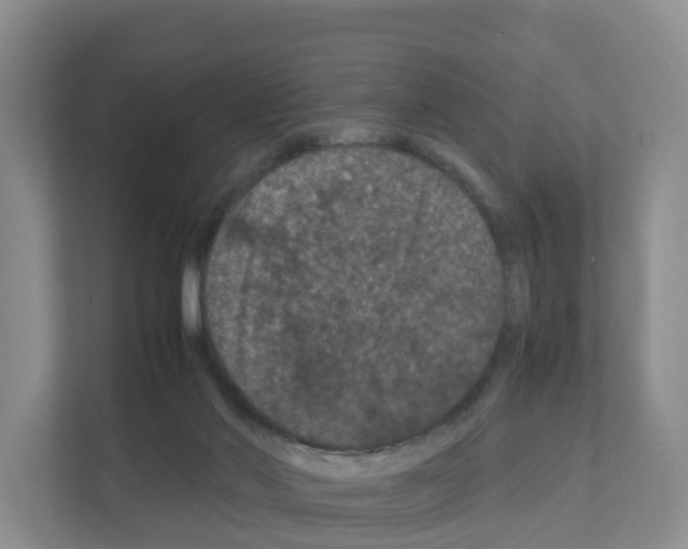 X0000111120022200908111028